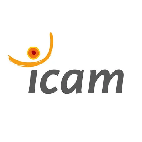 Icam Icam